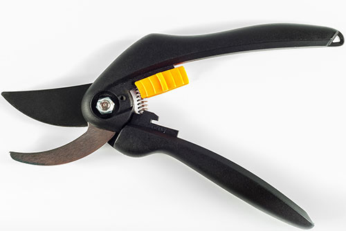 Pruning trees and shrubs equipment shears